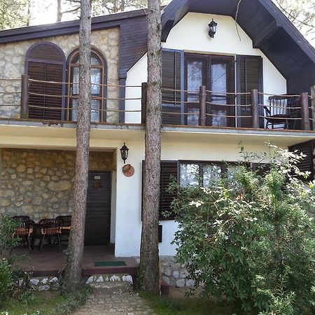 Guesthouse Bajka Vinci Exterior photo
