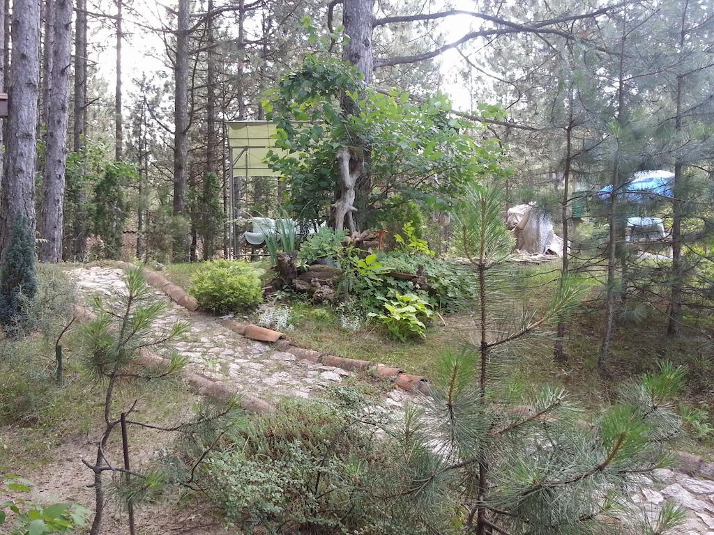 Guesthouse Bajka Vinci Exterior photo