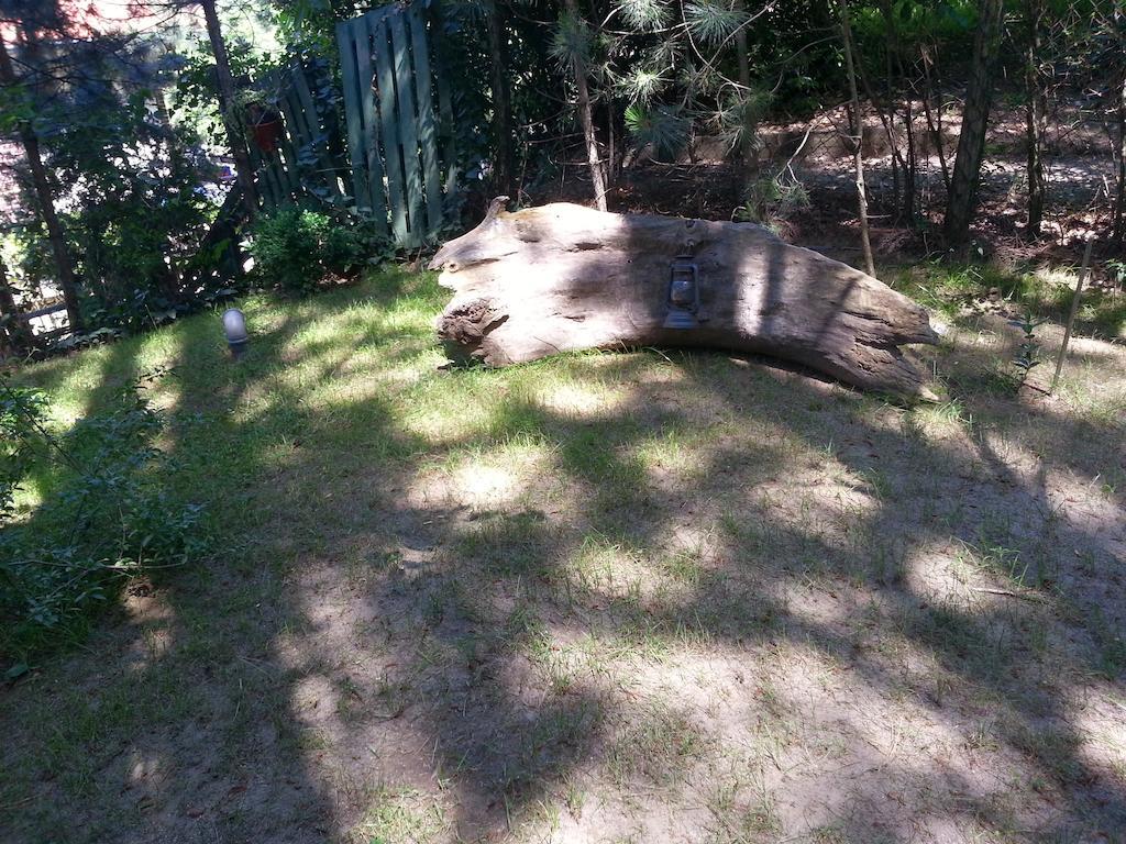 Guesthouse Bajka Vinci Exterior photo