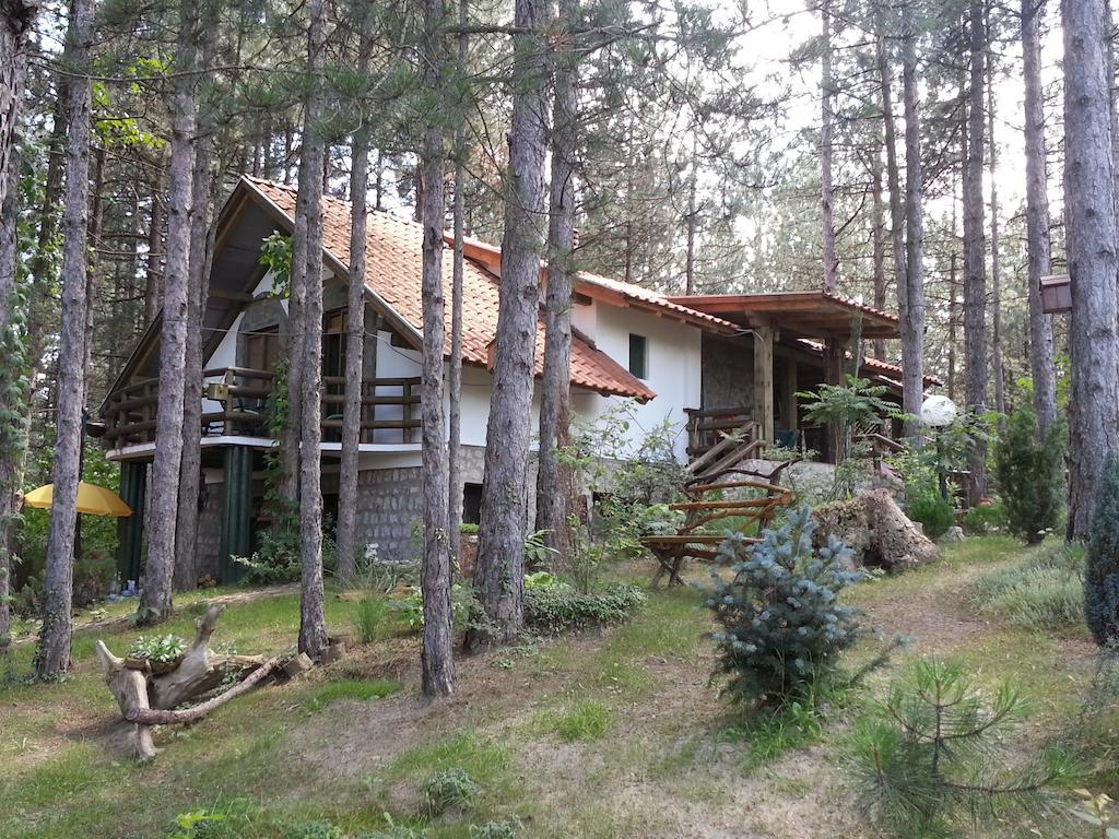 Guesthouse Bajka Vinci Exterior photo