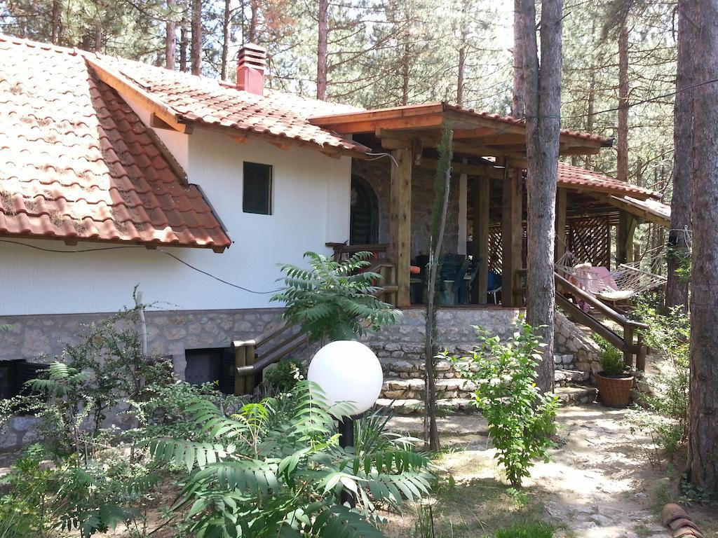 Guesthouse Bajka Vinci Exterior photo
