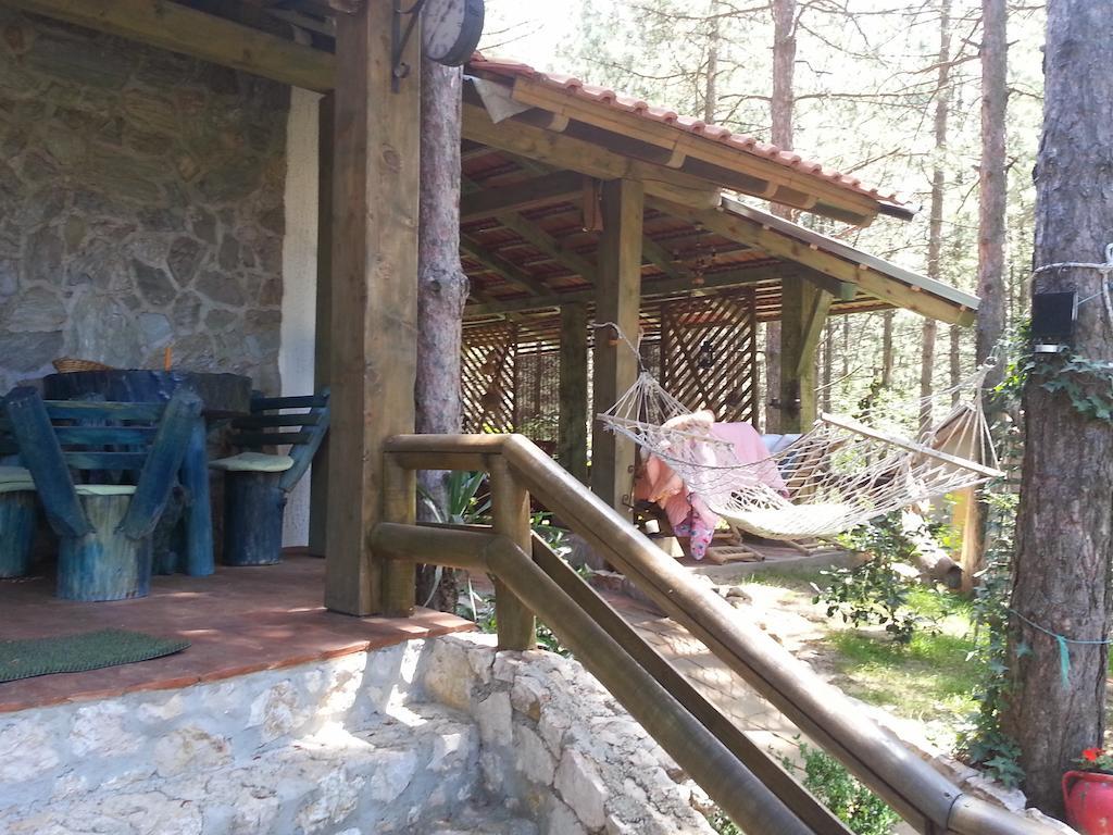Guesthouse Bajka Vinci Exterior photo