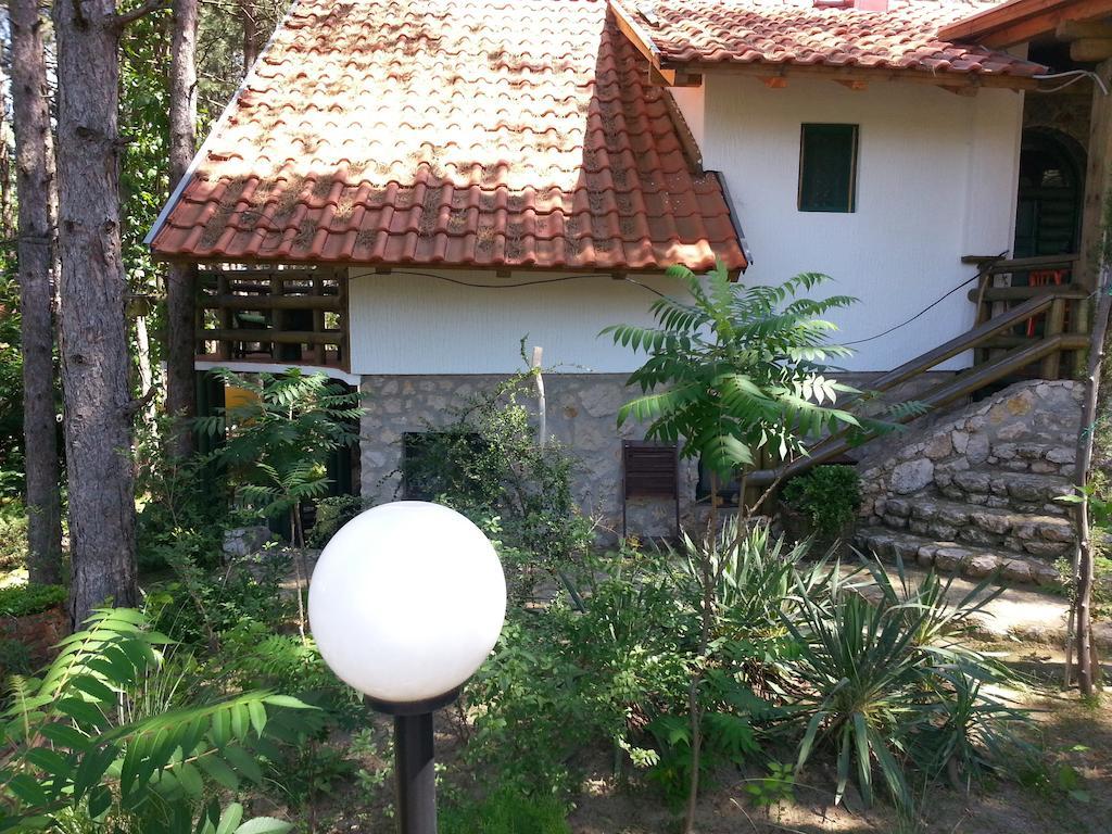 Guesthouse Bajka Vinci Exterior photo