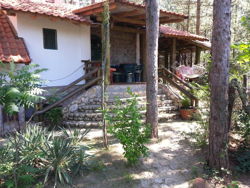Guesthouse Bajka Vinci Exterior photo
