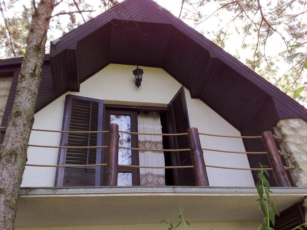 Guesthouse Bajka Vinci Exterior photo