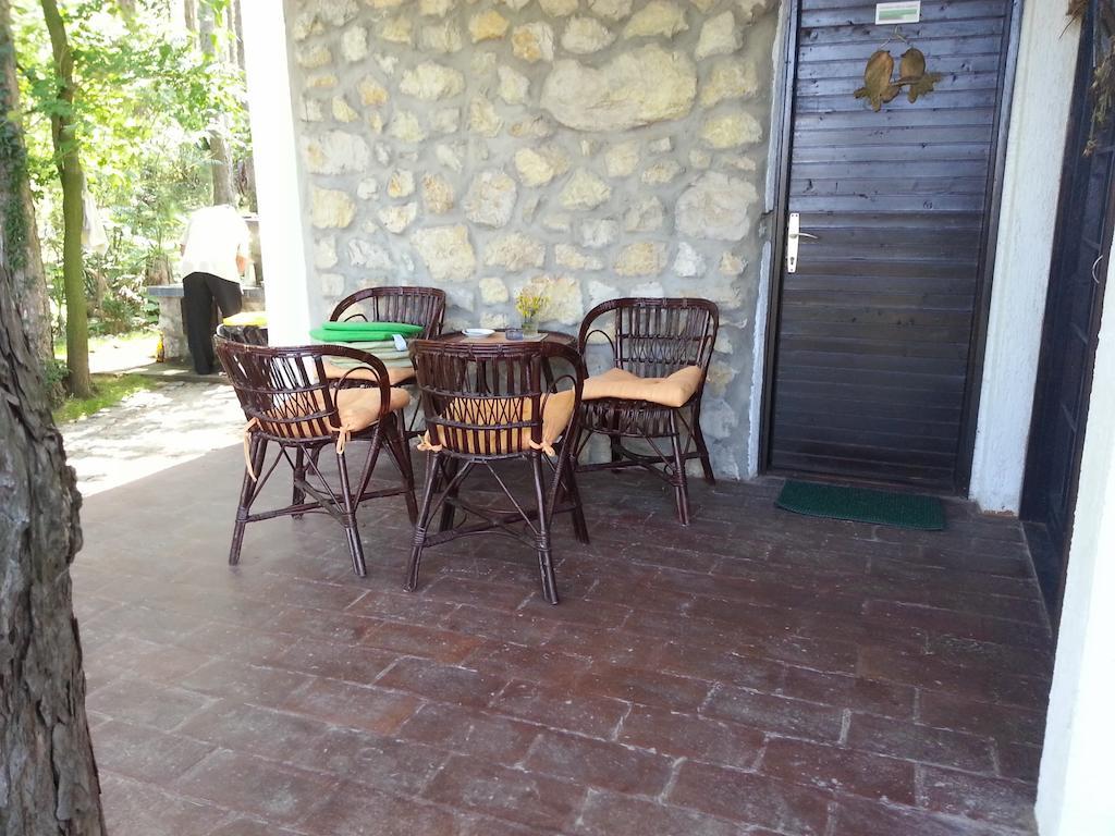 Guesthouse Bajka Vinci Exterior photo