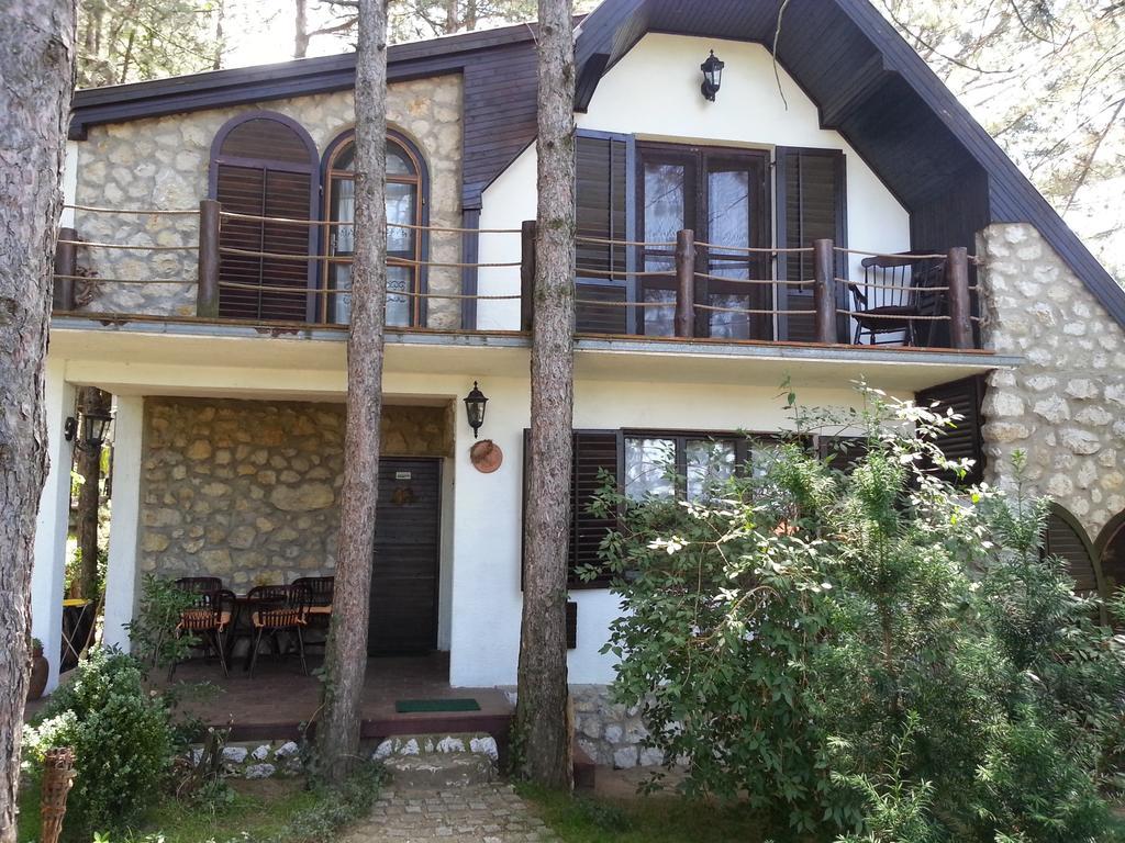 Guesthouse Bajka Vinci Exterior photo