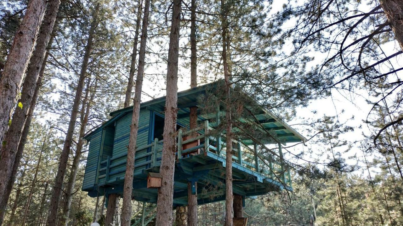 Guesthouse Bajka Vinci Exterior photo