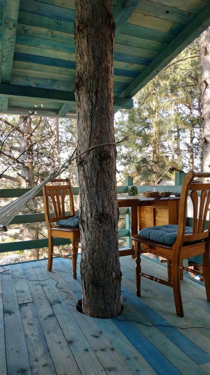 Guesthouse Bajka Vinci Exterior photo