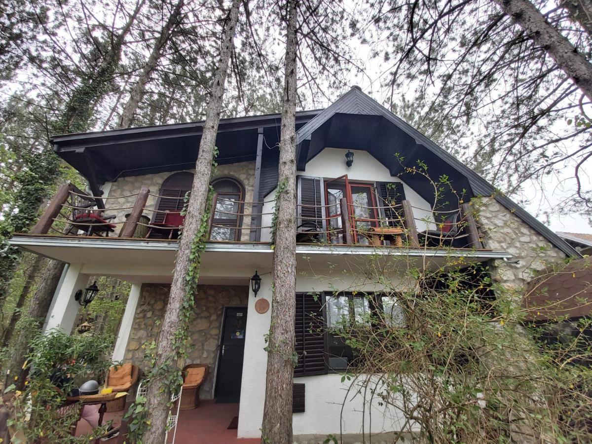 Guesthouse Bajka Vinci Exterior photo